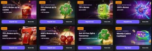 wildies casino bonus